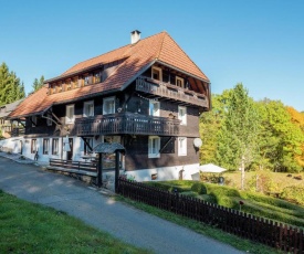 Spacious Apartment in Dachsberg Black Forest near Ski Area