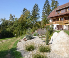 Large apartment in the Black Forest with private balcony, access to garden and sauna