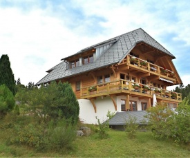 Lovely Apartment in Dachsberg-Urberg with Roof Terrace