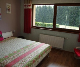 Black Forest view Apartment MILA