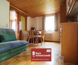 Haus Tanneck - FeWo 4 - Feldberg im Schwarzwald