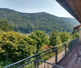 Hotel zum Neckartal Heidelberg