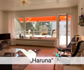 Ferienwohnung Haruna