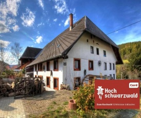Schwarzwaldhaus Krebs - Villa Kunterbunt, Lenzkirch, Feldberg