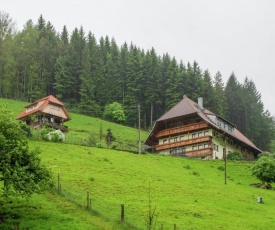 Luxurious Farmhouse near Forest in Mühlenbach