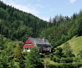 Rustic Country House in Oppenau Germany near Forest
