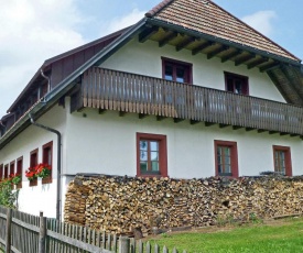 Comfortable Apartment in Rickenbach near Forest