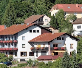 Aparthotel Schwarzwald Panorama
